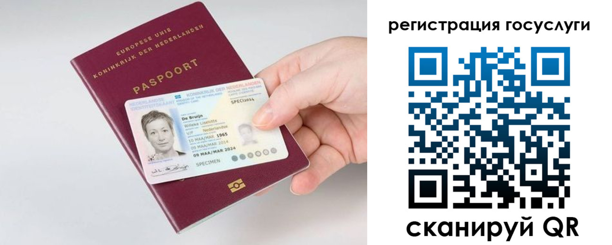 регистрация для дет. сада в Кургане